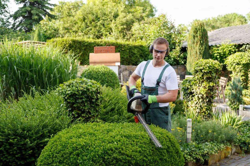 Yard Maintenance Names